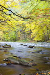 Obraz na płótnie Canvas Metuje river in autumn, Czech Republic