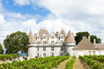 Fototapeta na wymiar Zamek Monbazillac z winnicy, Aquitaine, France