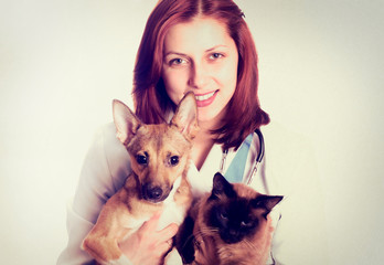 veterinarian cat and dog