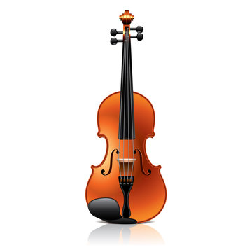 Classic violin vector illustration