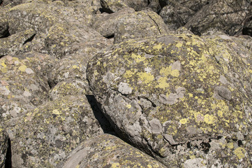 Old moraine rocks with moss closeup as background