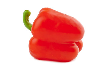 sweet pepper