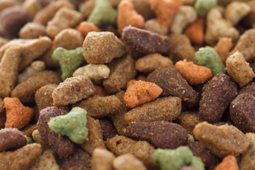 Mixed dry cat food on white surface