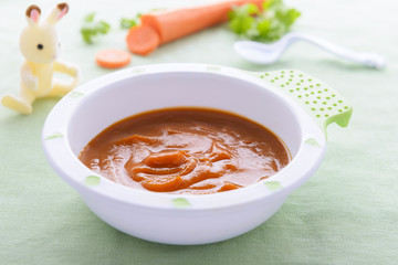 Baby nutrituion - carrot puree in white plate