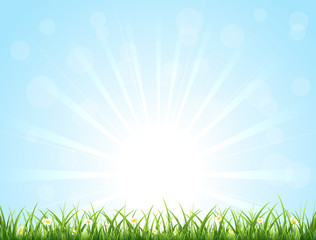 Fototapeta premium Sunny background