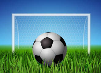 Soccer ball and grass field