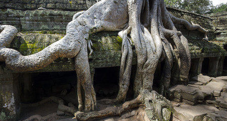 Fototapeta na wymiar Angkor Wat - Indianer Jones | Tomb Raider Tempel