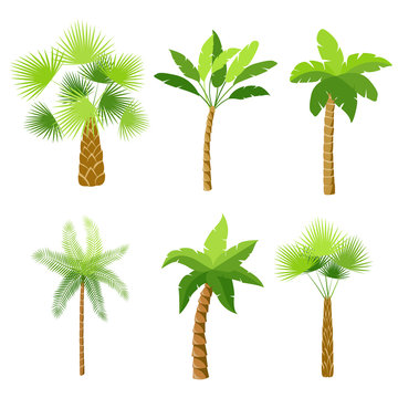Decorative palm trees icons set