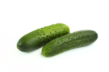 green fresh cucumbers