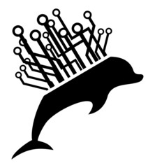 Dolphin tech