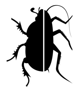 Cockroach and beetle