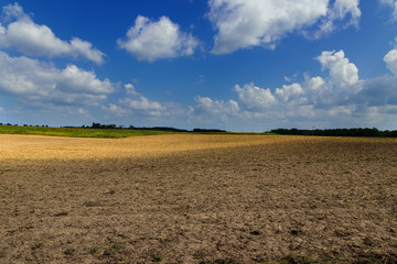 dirt agricultural field