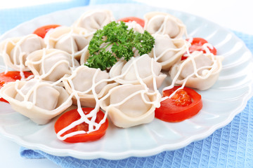Meat dumplings - russian boiled pelmeni in plate