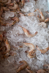 fresh shrimps for sale at the sea market