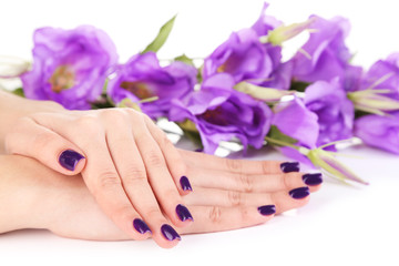 Beautiful woman hands with flowers isolated on white