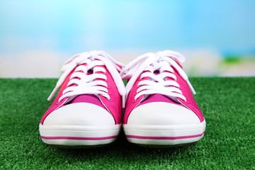 Beautiful gumshoes on green grass, on bright background