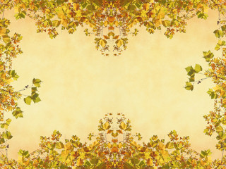 植物のフレーム