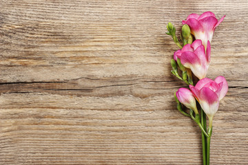 Pink freesia flowers on wooden background. Copy space - obrazy, fototapety, plakaty