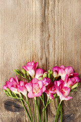 Pink freesia flowers on wooden background. Copy space