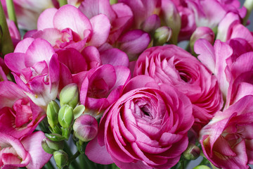 Bouquet of pink freesia flowers and pink persian buttercup