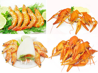boiled shrimps with lemon slices and parsley