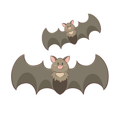 Bats