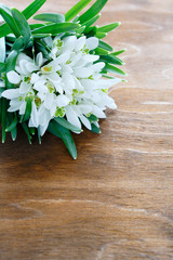armful of snowdrops on wooden background