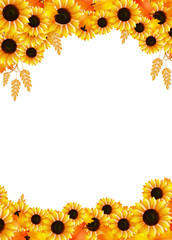 frame of sunflowers