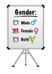 whiteboard gender