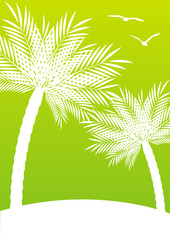 Green  background with palm trees