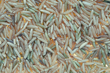 organic brown rice basamati