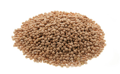 chickpea