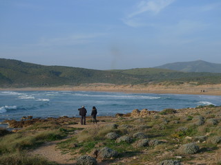 porto ferro beach at alghero