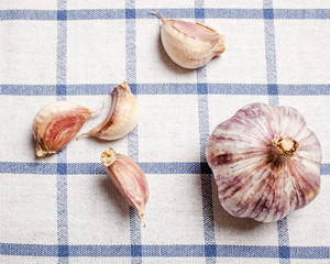 head of garlic and scattered near individual slices