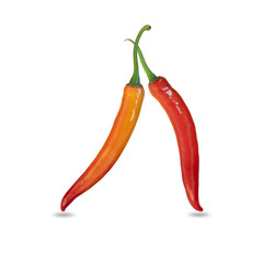 Two Chili pepper isolated on a white background