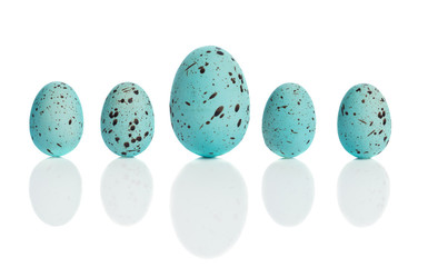 Row Of Blue Eggs