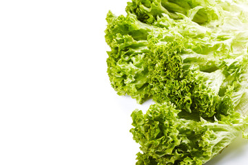 Obraz premium Lettuce isolated on white background