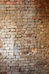 Obraz premium Brick wall 