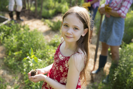 A Woman And A Child. One Holding A Young Plant With Green Foliage And A Healthy Rootball In Her Hands.