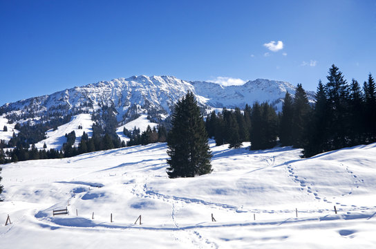 Winter in Allgau