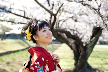 着物姿の女性と桜