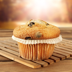 muffins