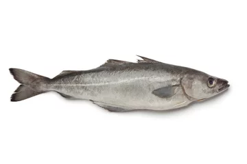 Keuken foto achterwand Vis Verse Atlantische koolvis