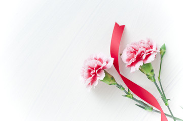 母の日　カーネーション