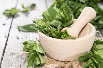 Heap of fresh Mint