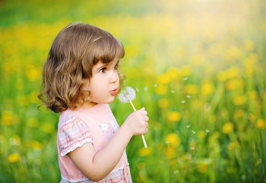 Lovely little girl blowing a dandelion