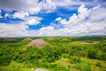 Fototapeta premium Green unusual Chocolate Hills in Bohol, Philippines