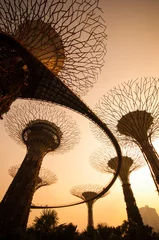 Selbstklebende Fototapeten Silhouette von Supertree in Gardens by the Bay © tanawatpontchour