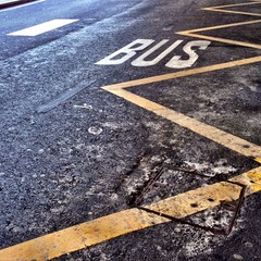 Waiting for the bus