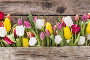 Tulpen auf altem Tisch mit freiem Platz